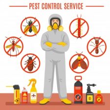 Pest-Control